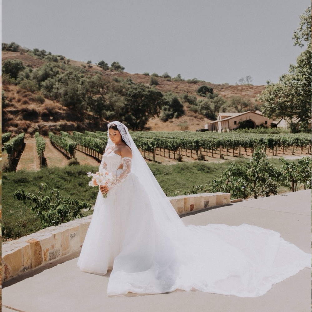 Elegant White Wedding Veil with Long Train